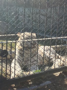 東武動物公園に投稿された画像（2024/11/5）