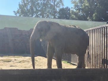 東武動物公園に投稿された画像（2024/11/5）