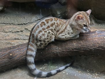 名古屋市東山動植物園に投稿された画像（2024/11/5）