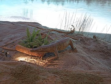 福井県立恐竜博物館に投稿された画像（2024/11/5）