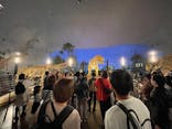 福井県立恐竜博物館に投稿された画像（2024/11/5）