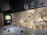 福井県立恐竜博物館に投稿された画像（2024/11/5）