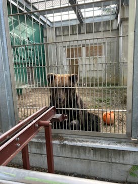 東武動物公園に投稿された画像（2024/11/5）