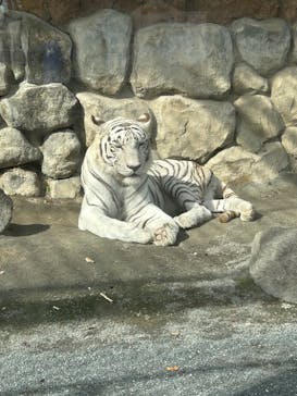 東武動物公園に投稿された画像（2024/11/5）