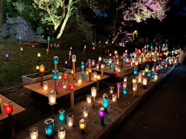 江の島シーキャンドルに投稿された画像（2024/11/5）