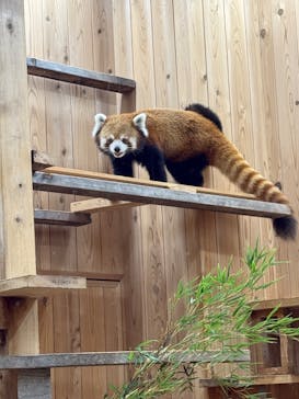 名古屋市東山動植物園に投稿された画像（2024/11/5）
