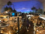 福井県立恐竜博物館に投稿された画像（2024/11/5）