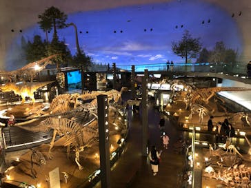 福井県立恐竜博物館に投稿された画像（2024/11/5）