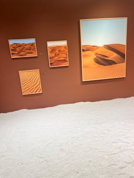 YOSIGO 写真展 Holiday Memories - 旅の瞬間 -に投稿された画像（2024/11/5）