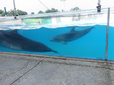 横浜・八景島シーパラダイスに投稿された画像（2024/11/5）