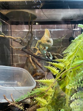 NARA KINGYO MUSEUMに投稿された画像（2024/11/5）