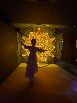 NARA KINGYO MUSEUMに投稿された画像（2024/11/5）