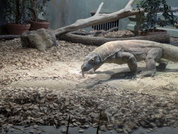 名古屋市東山動植物園に投稿された画像（2024/11/5）