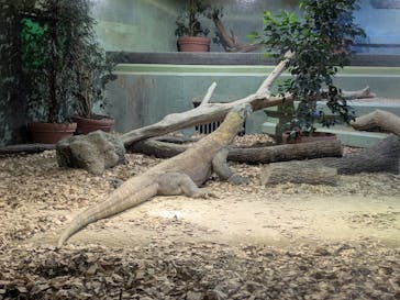 名古屋市東山動植物園に投稿された画像（2024/11/5）