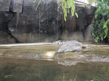 名古屋市東山動植物園に投稿された画像（2024/11/5）