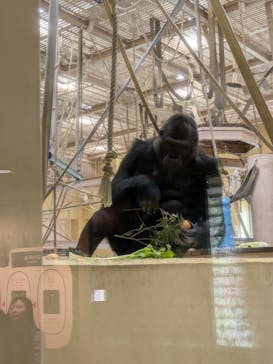 名古屋市東山動植物園に投稿された画像（2024/11/5）