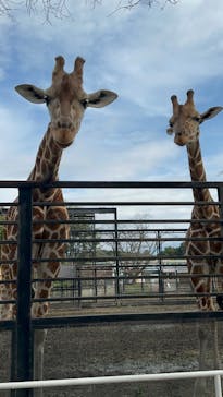 宇都宮動物園に投稿された画像（2024/11/5）