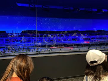 京都鉄道博物館に投稿された画像（2024/11/5）