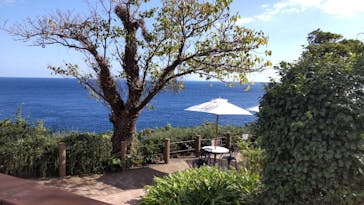 ニューヨークランプミュージアム＆フラワーガーデンに投稿された画像（2024/11/5）