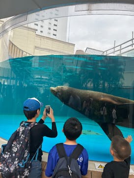 サンシャイン水族館に投稿された画像（2024/5/27）