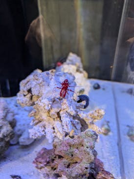 竹島水族館に投稿された画像（2024/11/5）