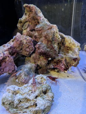 竹島水族館に投稿された画像（2024/11/5）