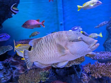 竹島水族館に投稿された画像（2024/11/5）