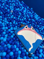 ピュアハートキッズランド市川コルトンプラザに投稿された画像（2024/11/5）