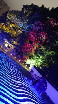 博多ライトアップウォーク実行委員会に投稿された画像（2024/11/5）