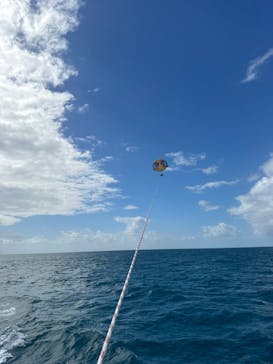parasailing NOA（パラセーリング  ノア）に投稿された画像（2024/11/5）