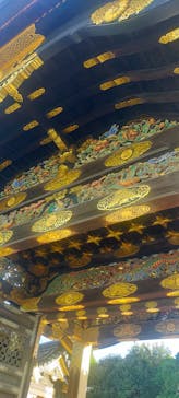 元離宮二条城に投稿された画像（2024/11/5）