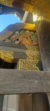 元離宮二条城に投稿された画像（2024/11/5）