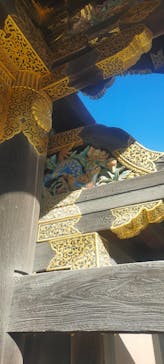 元離宮二条城に投稿された画像（2024/11/5）