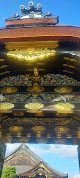 元離宮二条城に投稿された画像（2024/11/5）