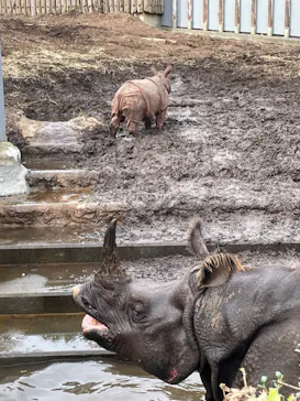 多摩動物公園に投稿された画像（2024/11/5）
