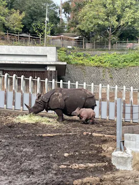 多摩動物公園に投稿された画像（2024/11/5）