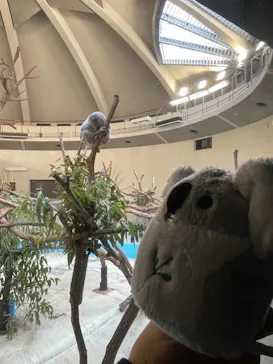 多摩動物公園に投稿された画像（2024/11/5）