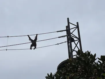 多摩動物公園に投稿された画像（2024/11/5）