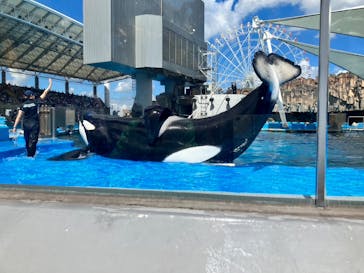 名古屋港水族館に投稿された画像（2024/11/3）