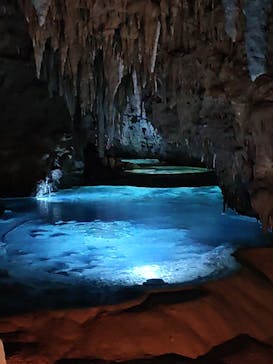 おきなわワールドに投稿された画像（2024/11/5）