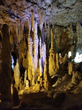 おきなわワールドに投稿された画像（2024/11/5）