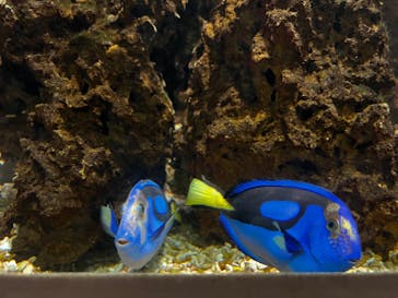 AQUARIUM × ART　atoaに投稿された画像（2024/11/5）