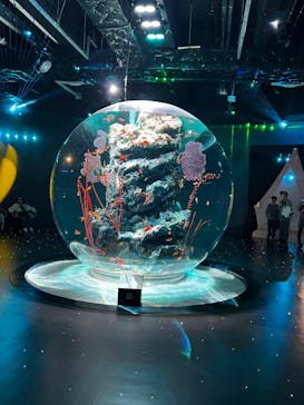 AQUARIUM × ART　atoaに投稿された画像（2024/11/5）