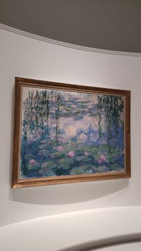 モネ 睡蓮のとき（国立西洋美術館）に投稿された画像（2024/11/5）