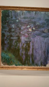 モネ 睡蓮のとき（国立西洋美術館）に投稿された画像（2024/11/5）