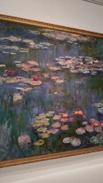 モネ 睡蓮のとき（国立西洋美術館）に投稿された画像（2024/11/5）