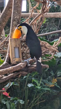 那須どうぶつ王国に投稿された画像（2024/11/5）