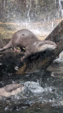 那須どうぶつ王国に投稿された画像（2024/11/5）