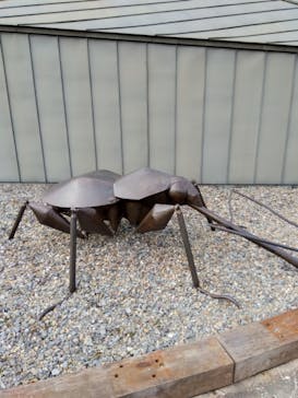 清流の国 ⽂化探訪 「南⾶騨 Art Discovery」〜イベントは終了しました〜に投稿された画像（2024/11/5）