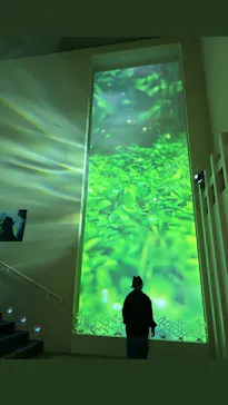 すみだ水族館に投稿された画像（2024/11/5）